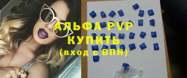прущие грибы Балабаново