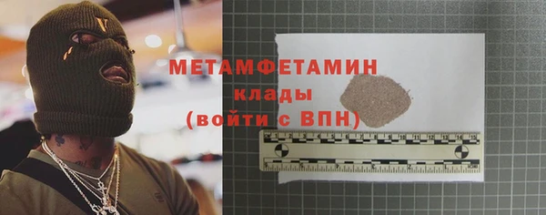 прущие грибы Балабаново