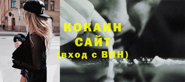 прущие грибы Балабаново