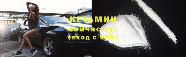 прущие грибы Балабаново