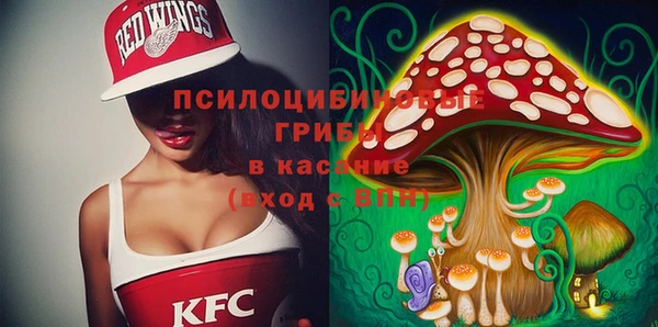 прущие грибы Балабаново