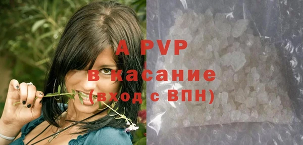 прущие грибы Балабаново